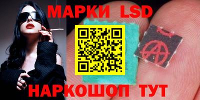 дживик Можга