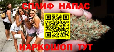 дживик Можга