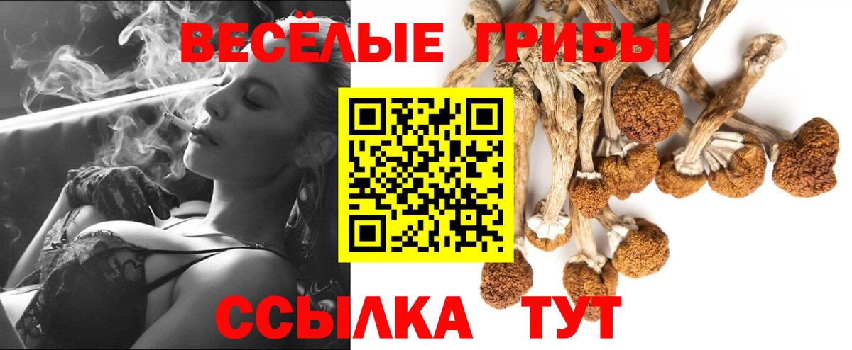 Галлюциногенные грибы ЛСД Бийск